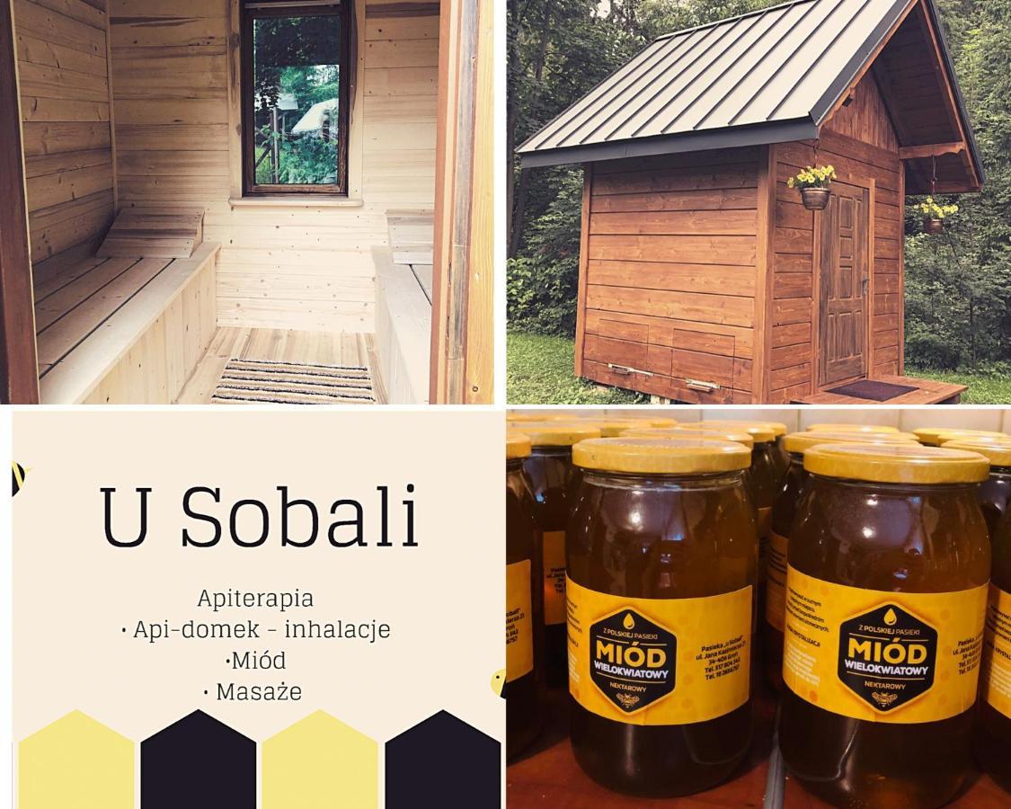فيلا U Sobali Groń المظهر الخارجي الصورة