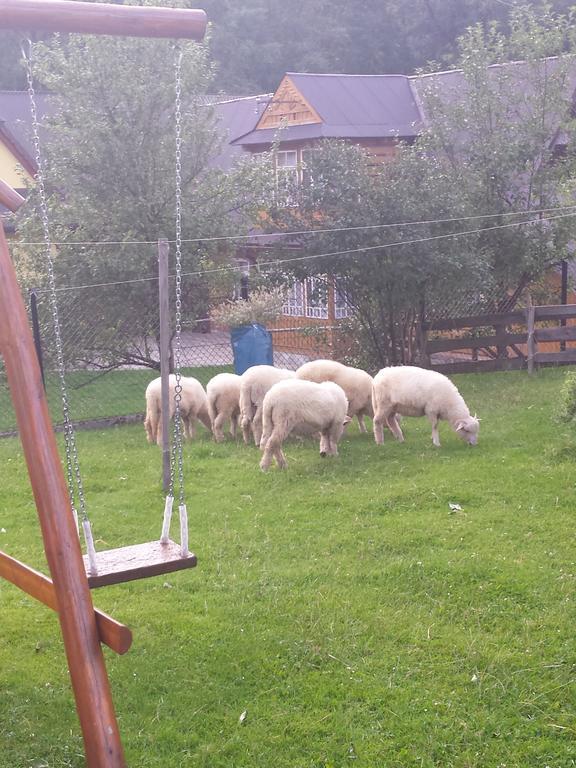 فيلا U Sobali Groń المظهر الخارجي الصورة